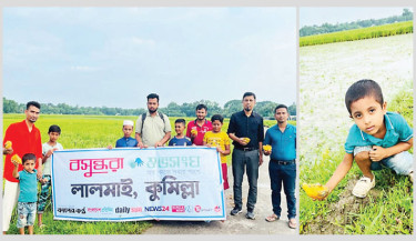 Palm seeds planted in Cumilla to raise lightning awareness