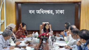Govt plans to increase forest coverage to 20%: Rizwana
