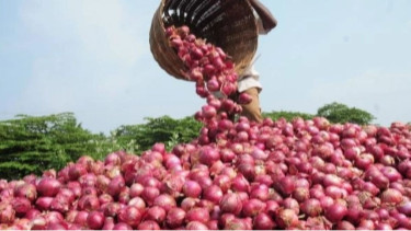Onion prices surge amid import halt, supply shortages