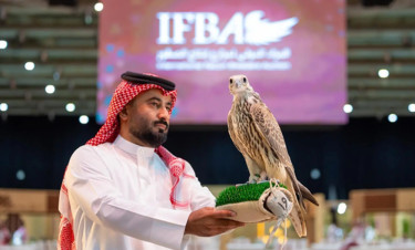 Two falcons sold for SR180K at Riyadh auction