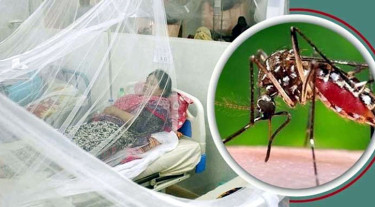 Dengue deaths top 100 with 3 new fatalities