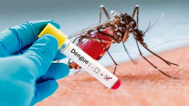 One more dies of dengue; 434 hospitalised in 24hrs