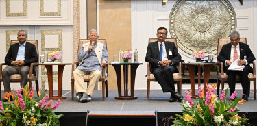 Expatriates' income helps revive economy: CA