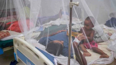 Dengue: One more death reported in 24 hrs