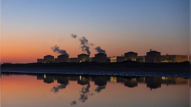 France restarts nuclear plant after jellyfish invasion