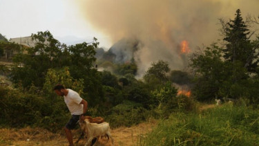 At least 3 dead and thousands displaced as wildfires rage across southern Europe