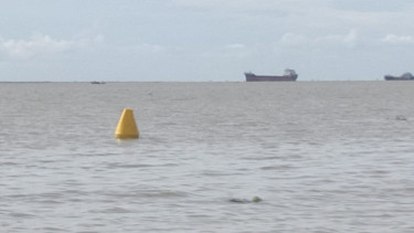 Cement-laden lighter vessel sinks in Meghna River