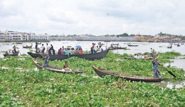 A severe infestation of water hyacinth, a floating aquatic plant, overtakes the Buriganga River, making boat navigation difficult for many commuters and contributing significantly to river pollution. The snap was taken from Sadarghat Launch Terminal on Thursday. -Focus Bangla