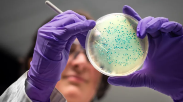AI invents antibiotics for gonorrhoea and MRSA superbugs