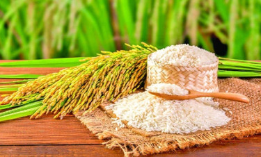 Country at risk of food security despite record imports
