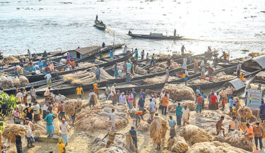 Jute is a major cash crop in Bangladesh. The crop is sown from March to May and harvested from June to September. At the start of the marketing season this year, farmers are selling jute fibre wholesale at around Tk3,500 per maund. The photo was taken from Kamarjani Haat in Gaibandha Sadar upazila on Friday.  -  FOCUS BANGLA
