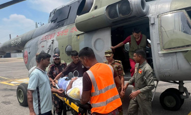 Three injured in elephant attack in Cox’s Bazar airlifted to Dhaka