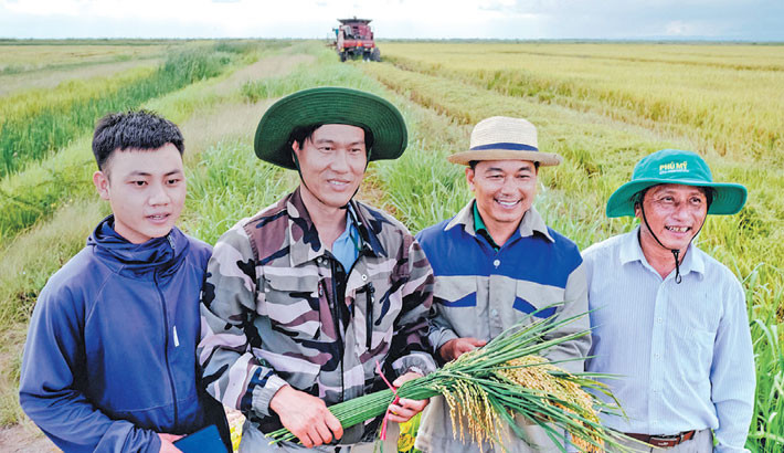 Vietnamese rice grower helps tackle Cuba’s food shortage