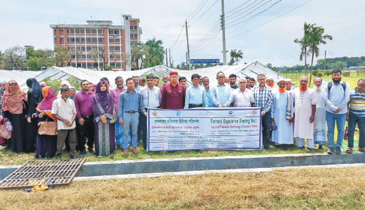 The Vegetable Division of Bangladesh Agricultural Research Institute (BARI) organises a programme titled Farmers’ Experience Exchange Visit at the Horticulture Research Centre in Gazipur on Sunday. The event was held under the Development of Vegetable Breeding Technology in Asia Region (AFACI) project. – Daily Sun Photo