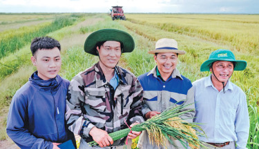 Vietnamese rice grower helps tackle Cuba’s food shortage
