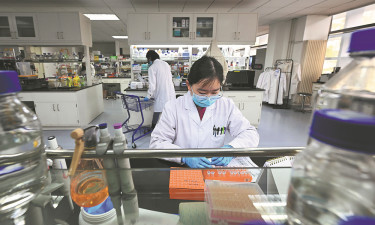 Scientists break ground on DNA synthesis