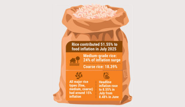 Rice alone drives over half of food inflation in July: GED