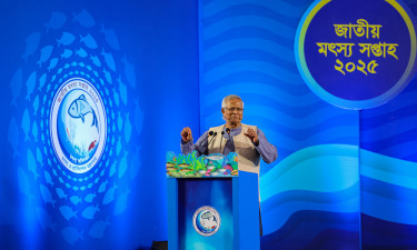 Stop poisoning river water, save fish: Yunus