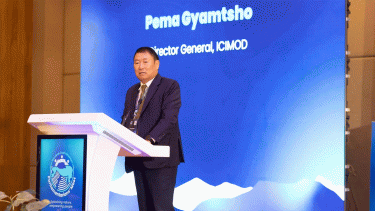 Over $700 billion needed by HKH countries annually for adaptation, mitigation: ICIMOD DG