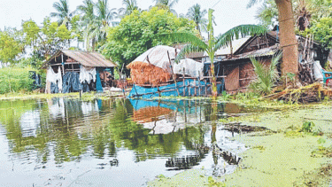 Bhabadaha waterlogging: 150 villages remain submerged