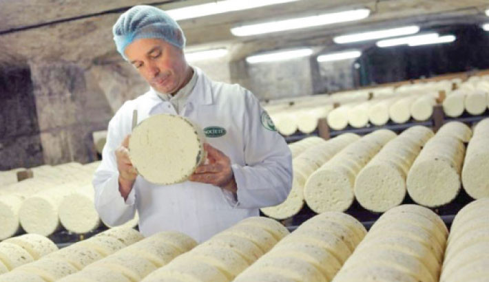 China extends anti-subsidy probe into EU dairy products