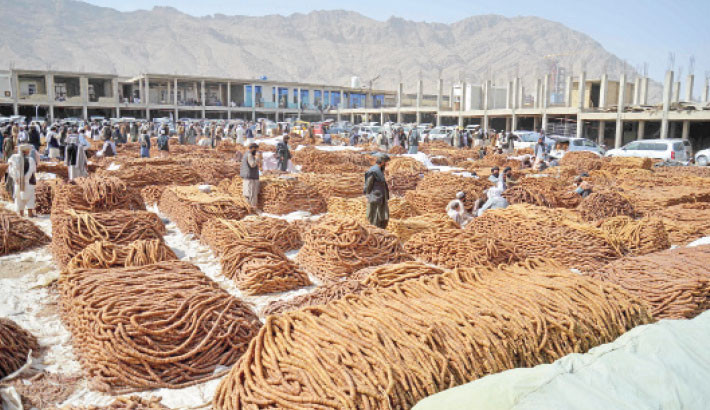 Afghan vendors gather to sell dried figs at a market in Kandahar province on 19 August 2025. Photo: AFP