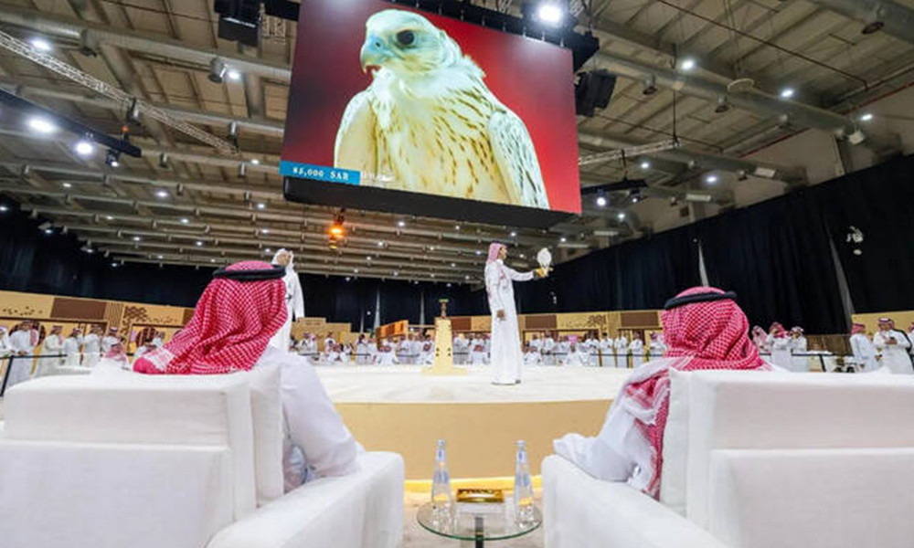 A Slovenian super white fetches $40,000 at Saudi falcon auction