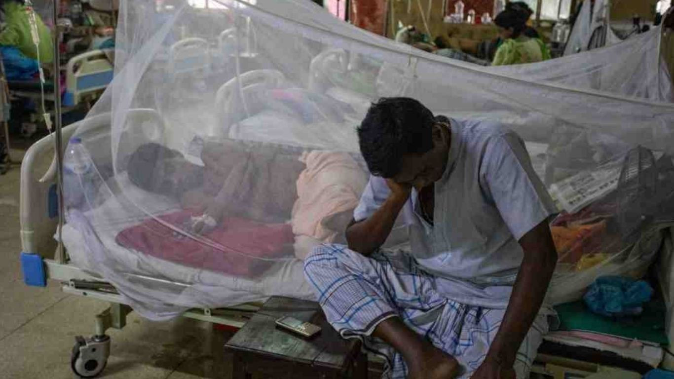 Dengue: 356 more dengue cases reported in 24hrs