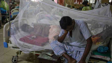 Dengue: 356 more dengue cases reported in 24hrs