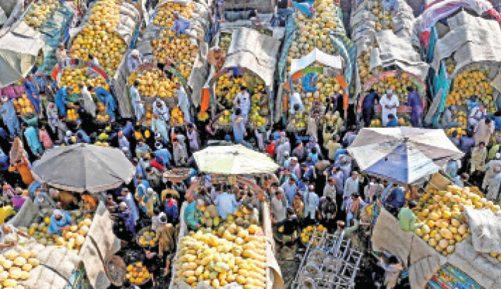 Traders and buyers gather at a fruit market in Lahore on 21 August 2025. Photo: AFP