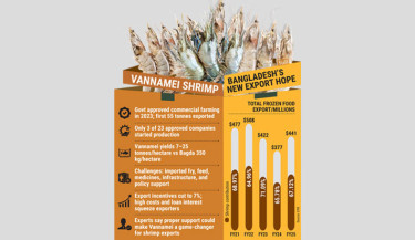 Vannamei shrimp: Next big fish in frozen food exports if backed by proper policy
