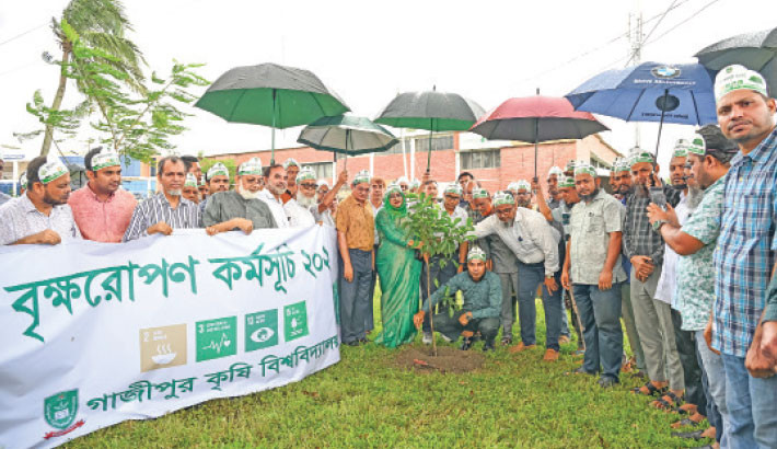 Gazipur Agricultural University (GAU) Vice-Chancellor Prof Dr GKM Mustafizur Rahman and teachers plant a sapling observing the Tree Plantation Campaign on the campus on Thursday.  - Daily Sun Photo