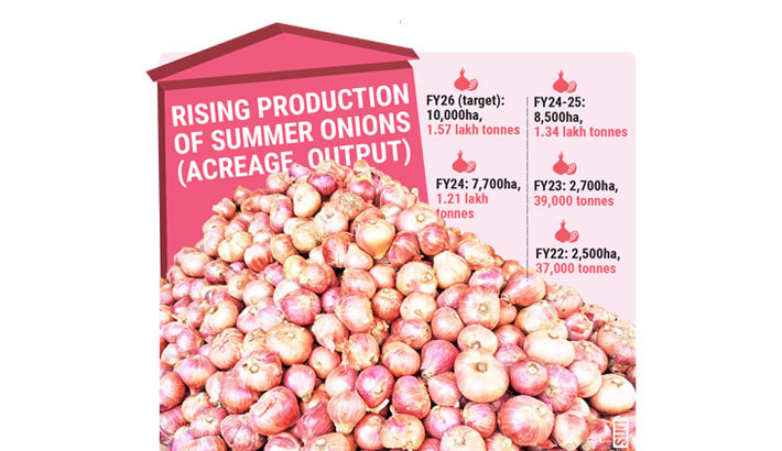 Summer onions: New shield against price shocks, import dependence