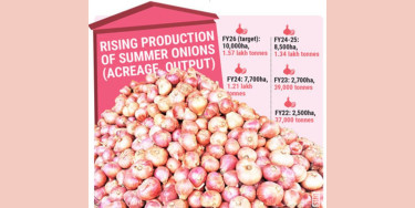 Summer onions: New shield against price shocks, import dependence