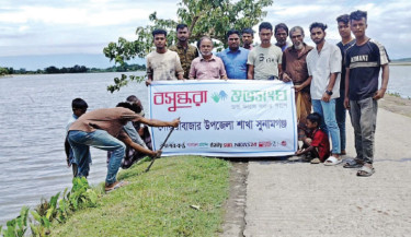 Palm seeds planted in Sunamganj to prevent lightning strikes