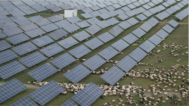 China Unveils World’s Largest Solar Farm as Carbon Emissions Begin to Decline