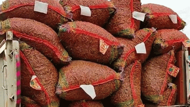 Import of green chili from India increases supply, reduces price