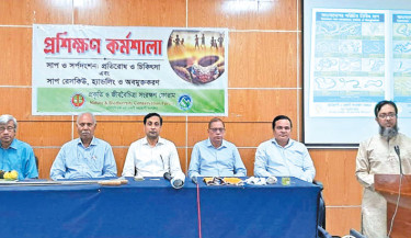 Wildlife conservation crucial for ecological balance: Experts