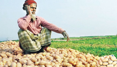 Govt to procure potatoes to support farmers