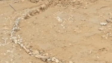 Researchers find rare Jurassic-era fossil in Indian village