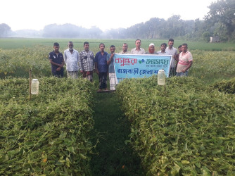 Shuvosangho encourages Rajbari farmers to produce poison-free crops