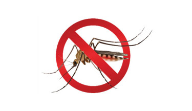 Dengue cases cross 30,000-mark this year