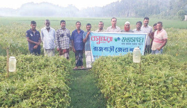 Rajbari farmers encouraged to produce poison-free crops