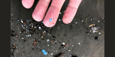 Humans inhale as much as 68,000 microplastic particles daily: Study