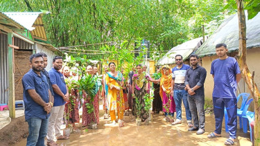 Tree saplings distributed among tribal people in Nalitabari