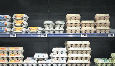 Lay off our eggs market, French producers tell Ukraine