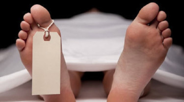 2 bodies recovered separately in Munshiganj