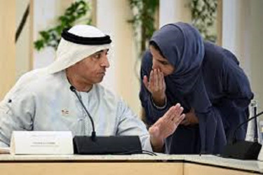 Israeli annexation in West Bank 'red line' for UAE: official