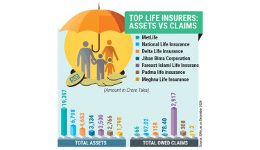 Insurers delay payouts despite strong assets