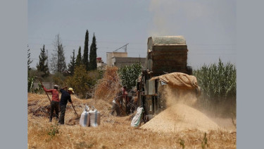 Drought devastates crops and threatens food security